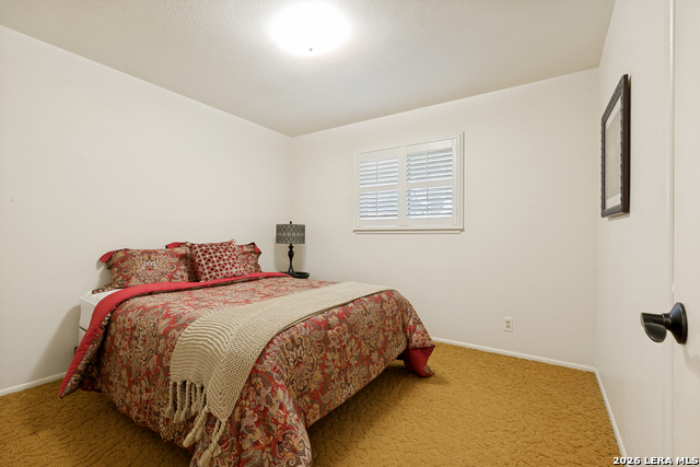5819 Dean Martin St Property Photo 18