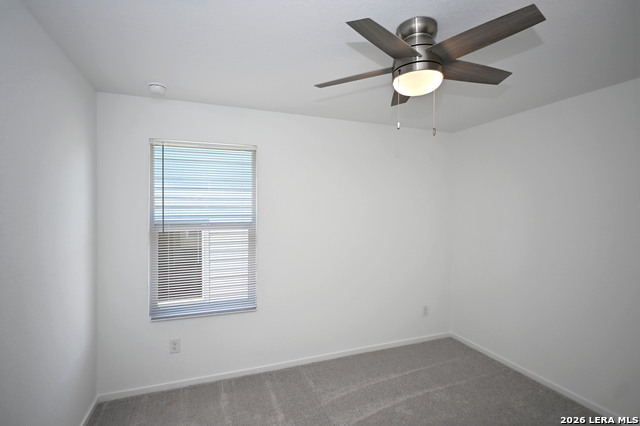 729 Thea Mdws Property Photo 16