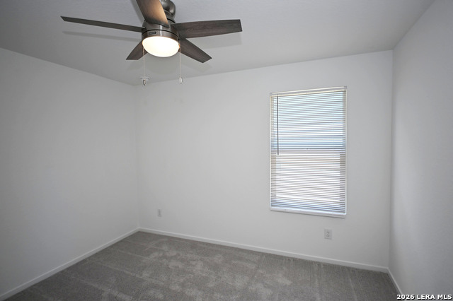 729 Thea Mdws Property Photo 18