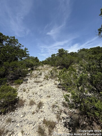 26709 Turkey Run Property Photo 4
