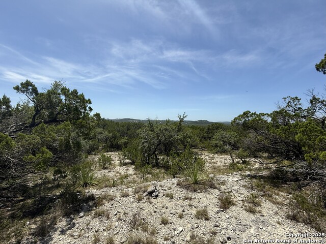 26709 Turkey Run Property Photo 8