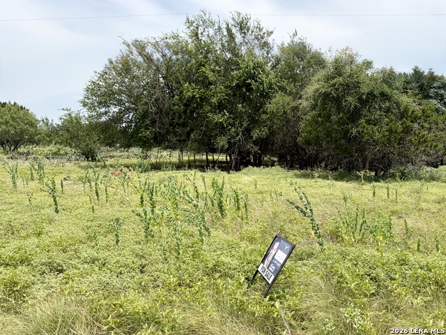 11 Stone Crst Property Photo 4