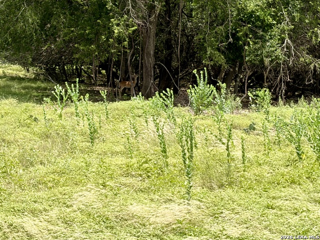 11 Stone Crst Property Photo 5