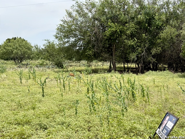 11 Stone Crst Property Photo 7