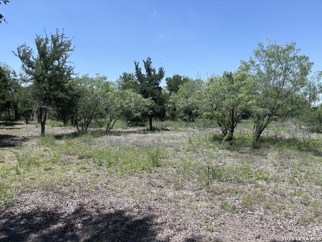 Lot #2 Horace Howard Property Photo 5