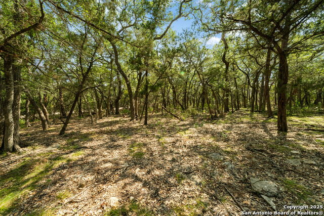 1775 Lost Trl Property Photo 4