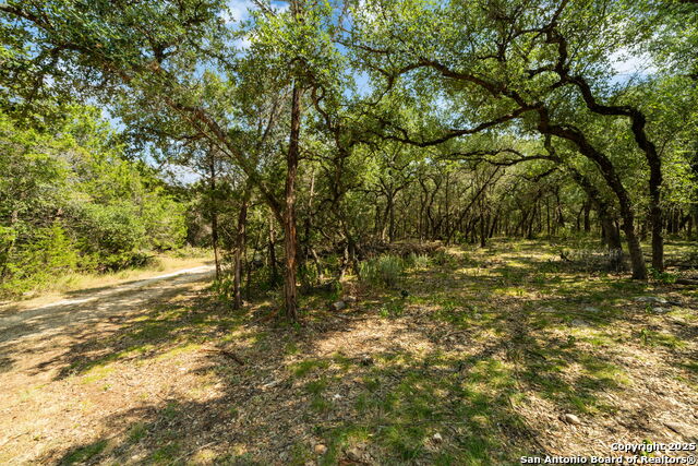 1775 Lost Trl Property Photo 5