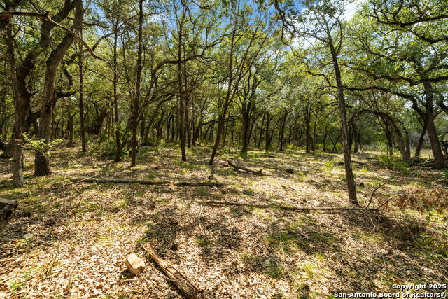 1775 Lost Trl Property Photo 11