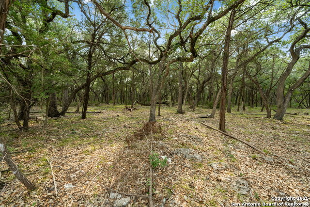 1775 Lost Trl Property Photo 12
