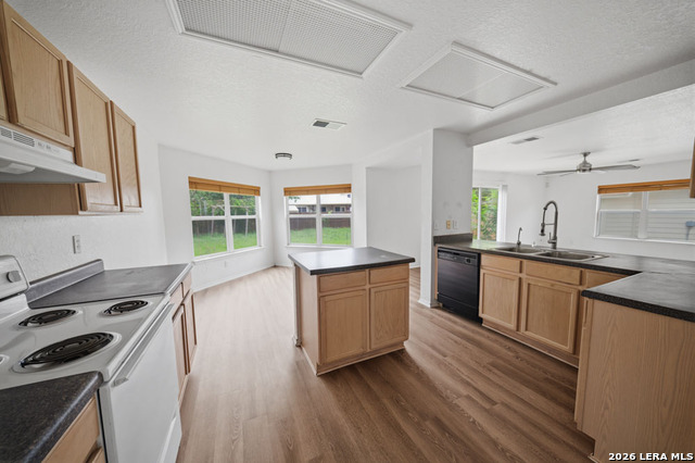 7258 Dwarf Palm Property Photo 9