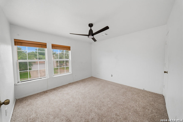 7258 Dwarf Palm Property Photo 15