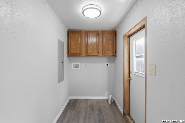 507 Forest Hill St Property Photo 15