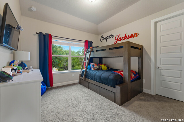 2550 Black Bear Dr Property Photo 26