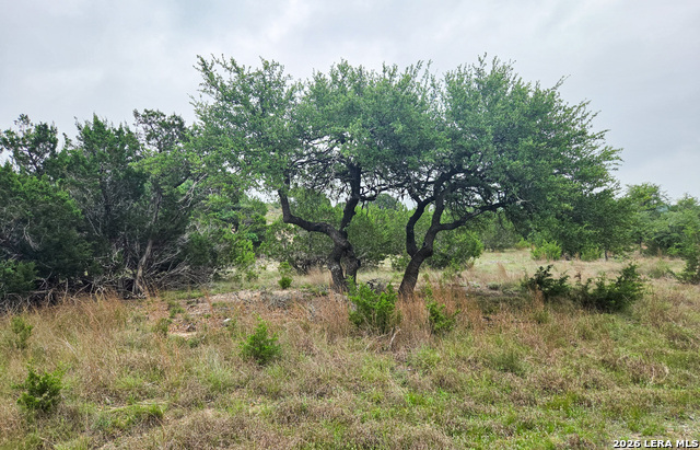 Tbd Falling Oak Property Photo 1
