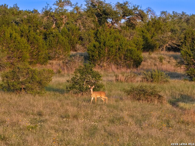 Tbd Fm 32 Property Photo 4