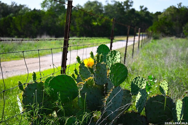 Tbd Fm 32 Property Photo 32