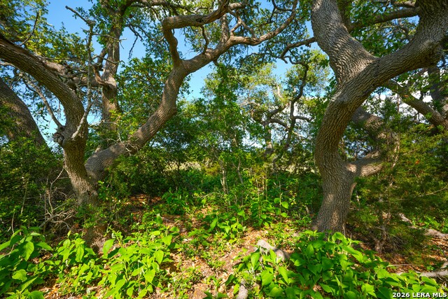 Tbd Fm 32 Property Photo 37