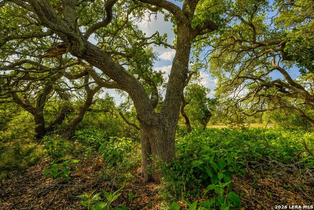 Tbd Fm 32 Property Photo 38