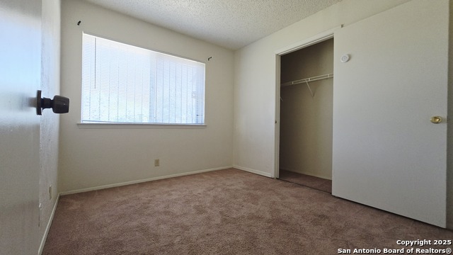 3043 Timber View Property Photo 12