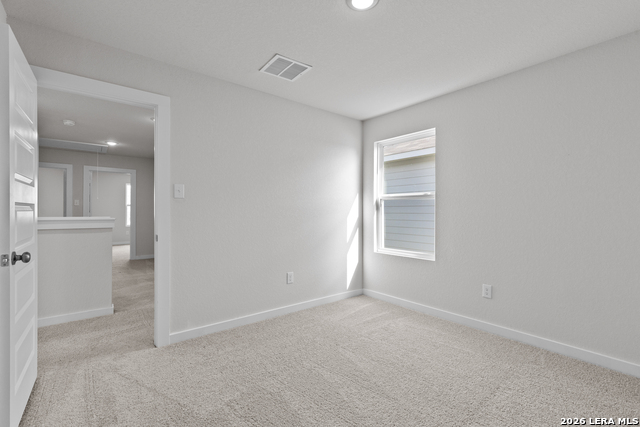 4314 Hobbiton Way Property Photo 16