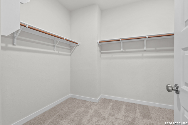 12407 Spike Heights Property Photo 18
