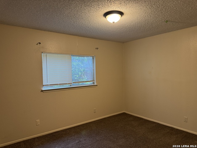 8251 Sunshine Trail Dr Property Photo 12