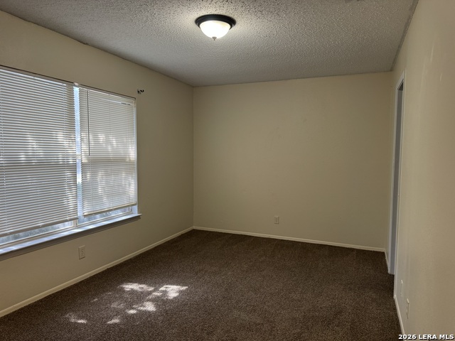 8251 Sunshine Trail Dr Property Photo 15