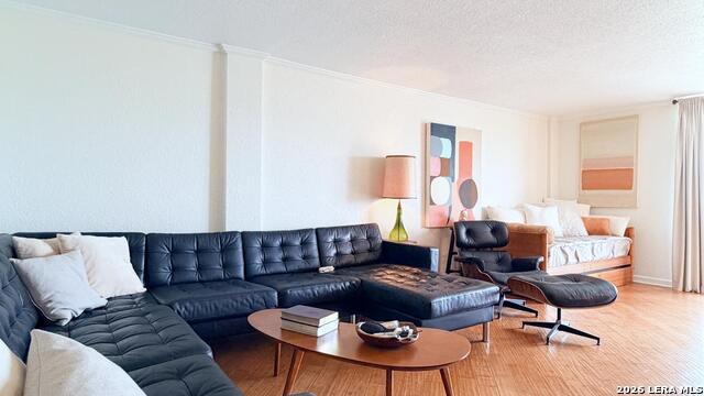 7039 San Pedro Ave Property Photo 4