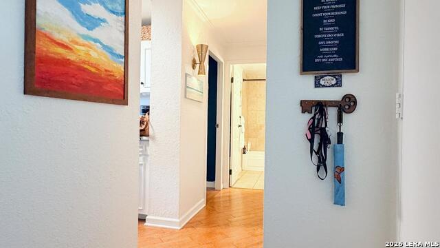 7039 San Pedro Ave Property Photo 12