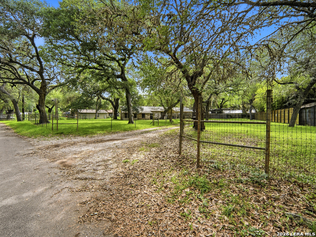 19214 Grey Forest Property Photo 2