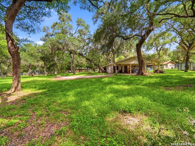 19214 Grey Forest Property Photo 39