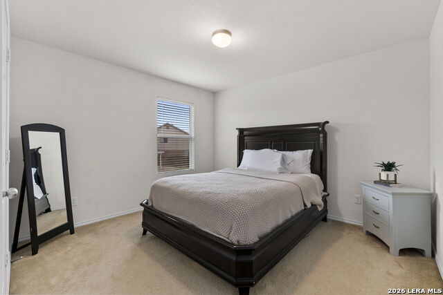 24222 Desert Ash Property Photo 19