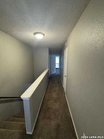 4906 Ali Property Photo 9