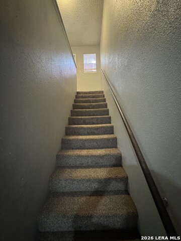 4906 Ali Property Photo 23