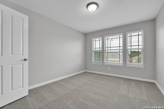 8427 Cedar Meadows Property Photo 21