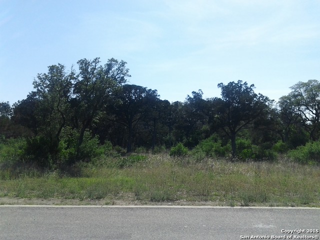 20007 Terra Canyon Property Photo 2