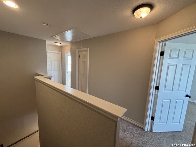 14106 Veneto Dr Property Photo 16