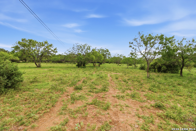 25.528 Acres Ratcliffe Ranch Property Photo 10