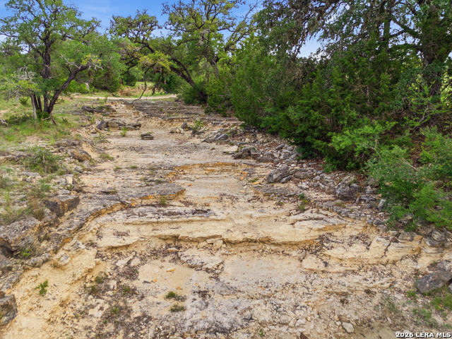25.528 Acres Ratcliffe Ranch Property Photo 18