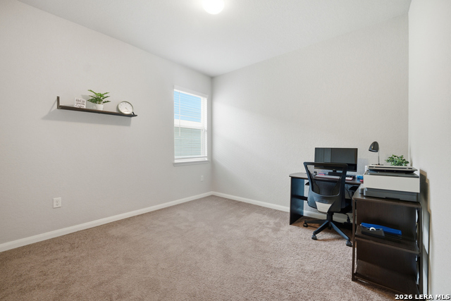 6846 Hibiscus Property Photo 37