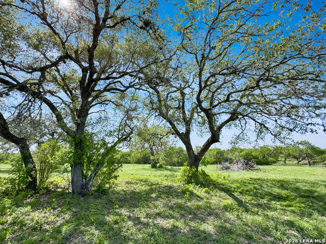 4552 Mineral Cemetery Rd Property Photo 25