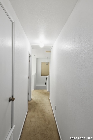 3107 Sunbird Bay Property Photo 18