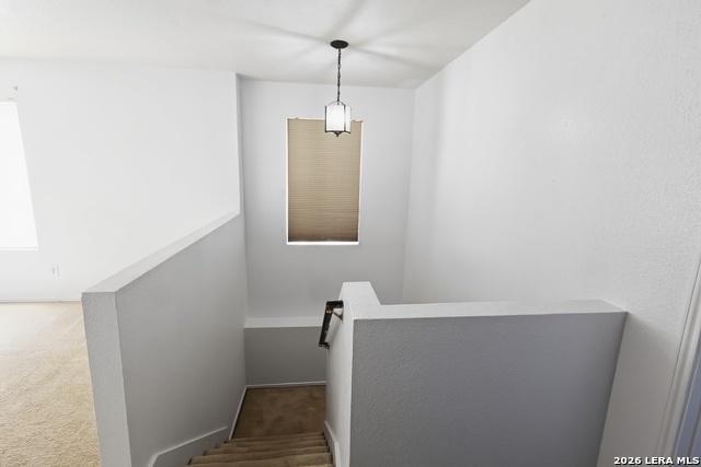 3107 Sunbird Bay Property Photo 19
