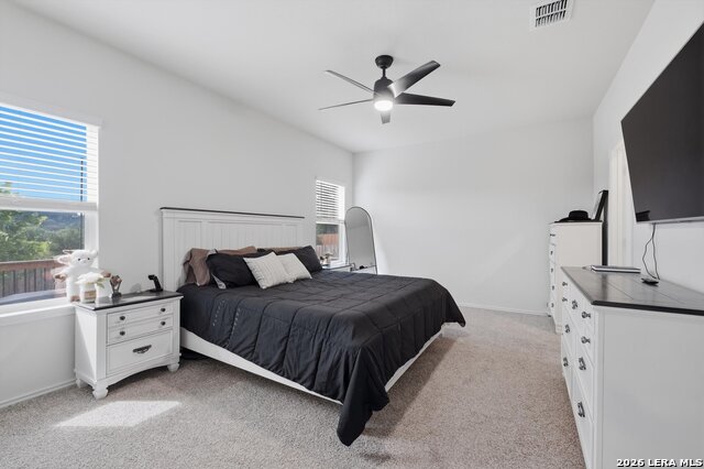 3814 Copper Riv Property Photo 26