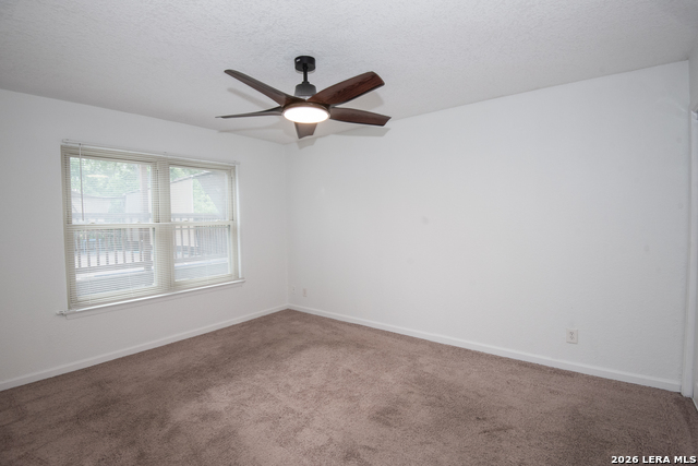 12122 Cherry Blossom St Property Photo 16