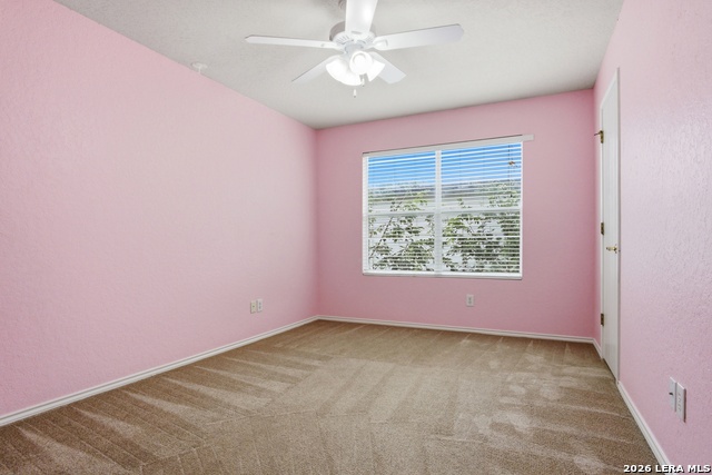 6734 Tezel Oaks Property Photo 19