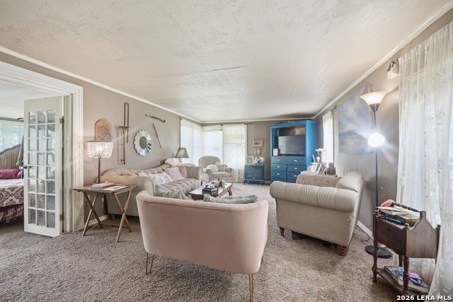 10970 Pearsall Rd Property Photo 6