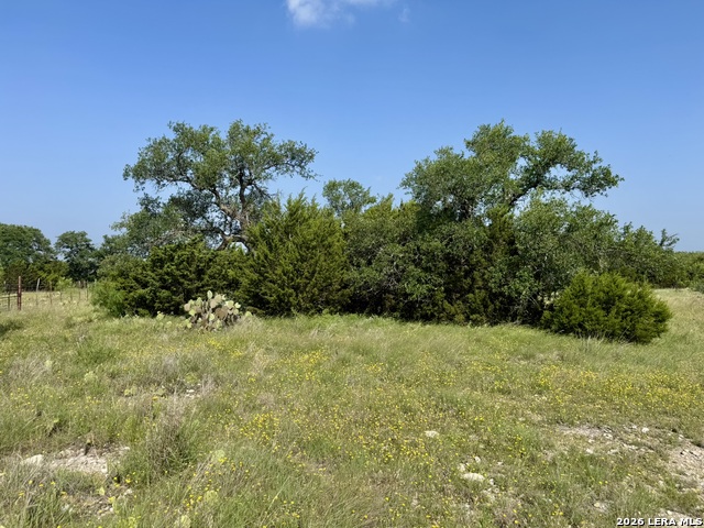 399 Spike Dr Property Photo 16