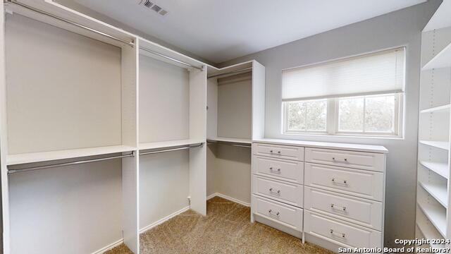 2915 Thunder Gulch Property Photo 19