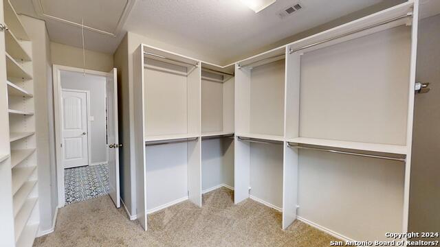 2915 Thunder Gulch Property Photo 22